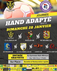 affiche handadapté